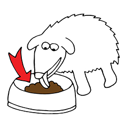 Dog food
