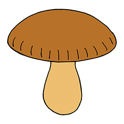 Pilz